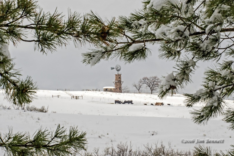 Highlands Ranch windmill after a spring snowstorm.